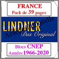 FRANCE - Pack 1966  2020 - Blocs CNEP (T132CNEP)