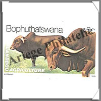 Bophuthatswana (Pochettes)
