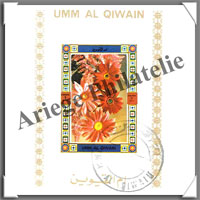 Um Al Qiwain (Blocs)