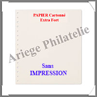 Feuilles NEUTRES BLANCHES en PAPIER Cartonn Sans Impression - Paquet de 10 Feuilles (KABLATT30 ou 338570)